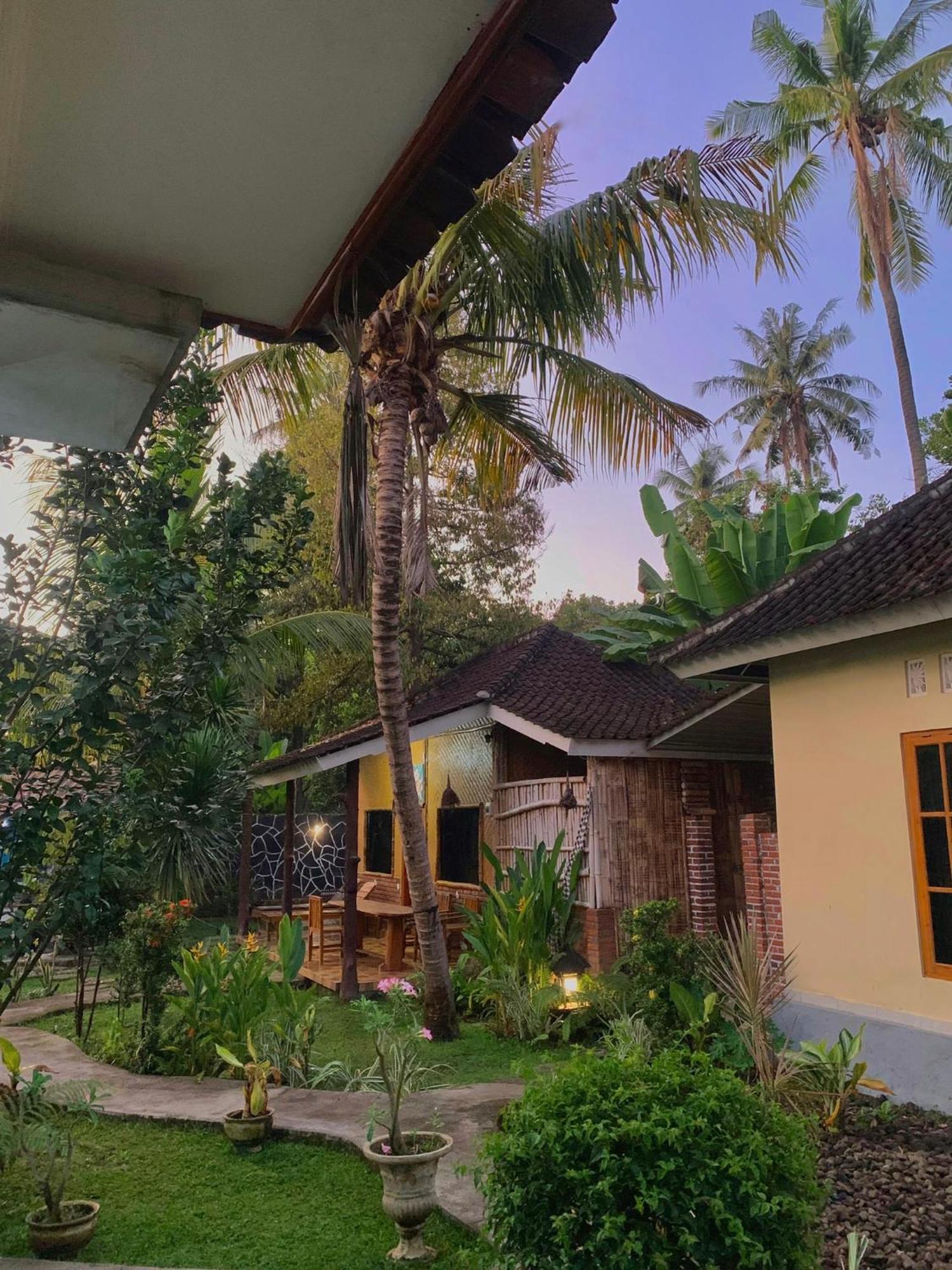 Penginapan Sedap Malam Lovina Esterno foto
